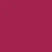 BRAYE Lipsleek 2.3g