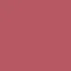 BRAYE Lipsleek 2.3g