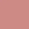 BRAYE Lipsleek 2.3g