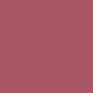 BRAYE Lipsleek 2.3g