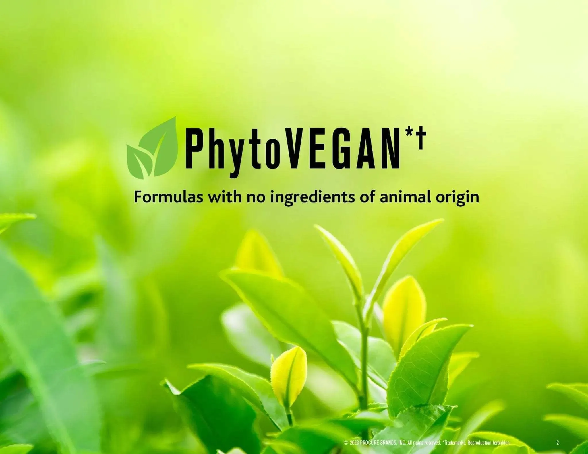 CURALIGN Prowash Vegan Hair Shampoo & Pump